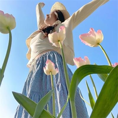 太阳打手